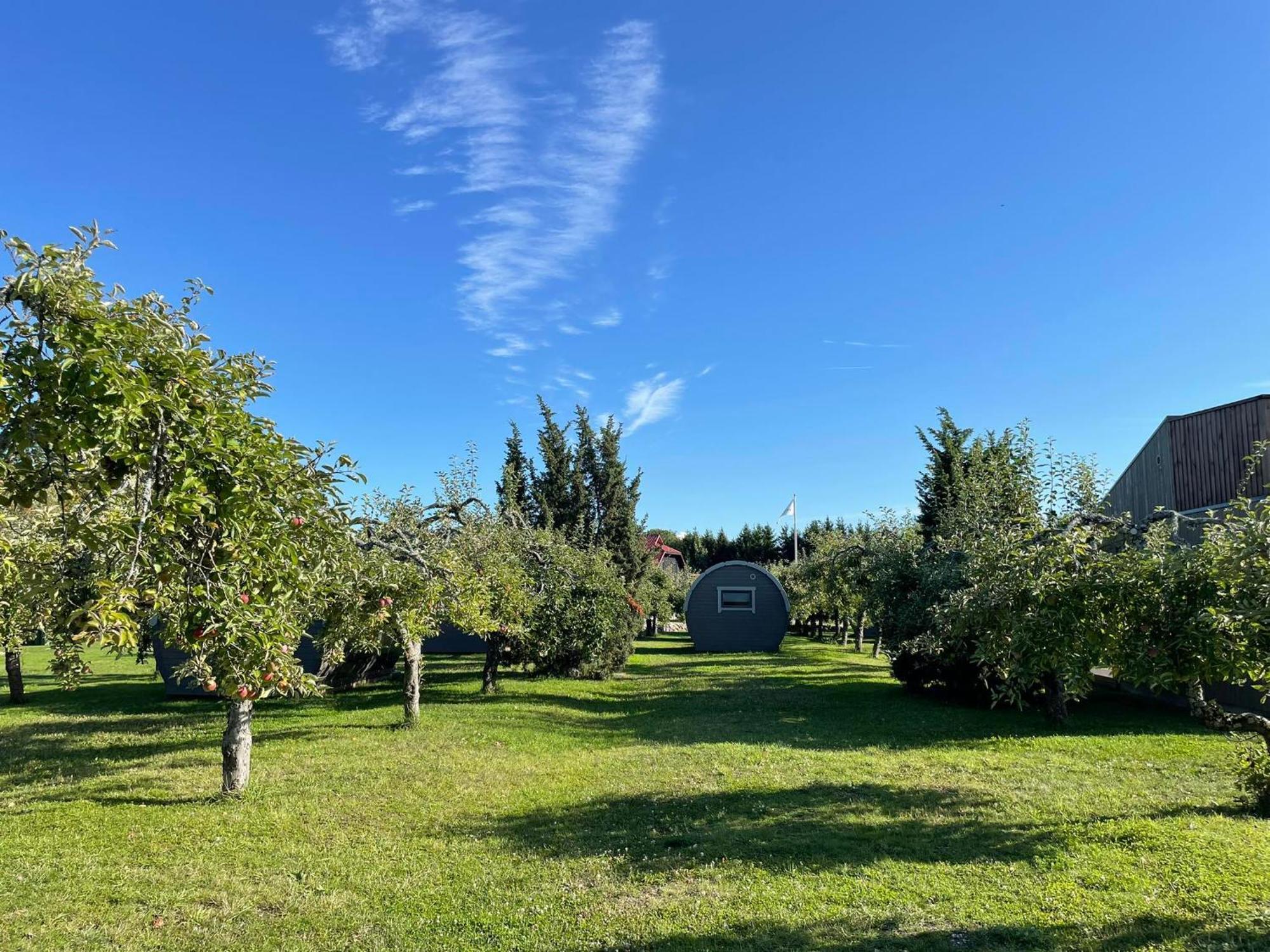 Vetsi Talli Holiday Village Kassari Dış mekan fotoğraf