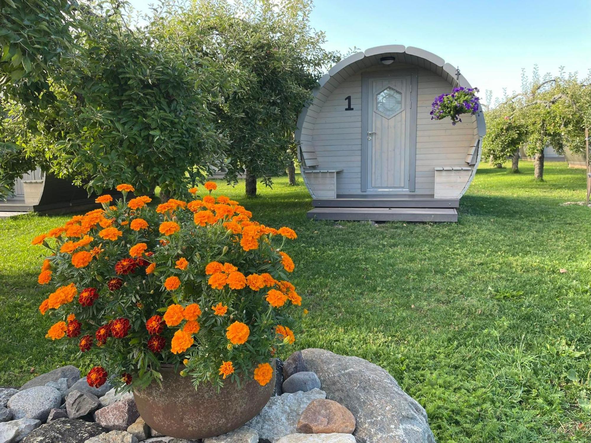Vetsi Talli Holiday Village Kassari Dış mekan fotoğraf
